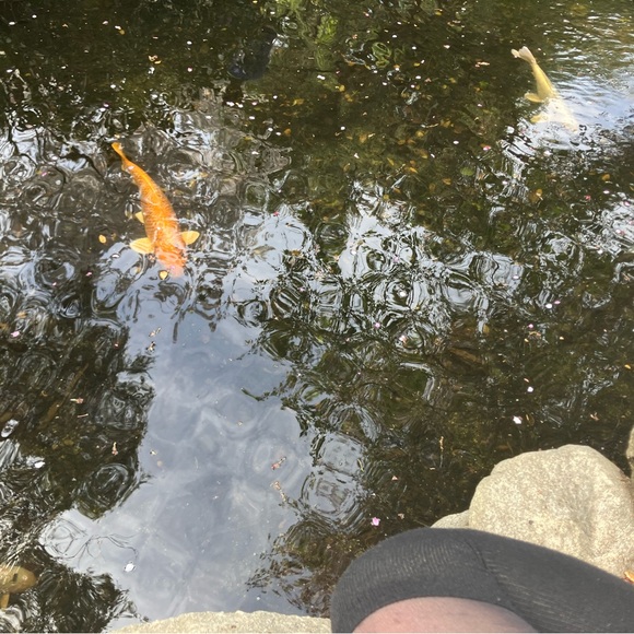 Hello there! - Picture 10 of 11